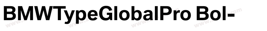 BMWTypeGlobalPro Bol字体转换